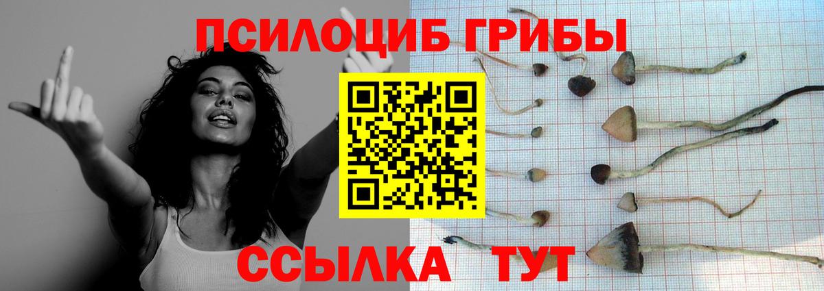 Галлюциногенные грибы MAGIC MUSHROOMS  Вход с VPN  Донецк 